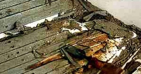 teak1[1].jpg